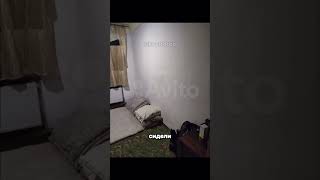 Сколько стоит эта хата в Санкт - Петербурге!? #аренда #недвижимость #жилье #квартира #рек