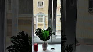 В продаже 3х к.кв., 62м в центре Санкт- Петербурга! Начальная цена 12.900.00₽! Пиши, звони!