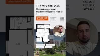 #новостройки #недвижимость #покупкаквартиры