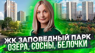 Обзор ЖК Заповедный Парк от ЛСР Недвижимость. Приморский район Санкт -Петербурга#29