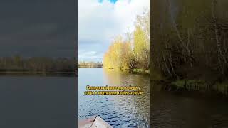 #загородныйдом на севере Санкт-Петербурга! Подробнее в описании #недвижимостьспб #риелторспб