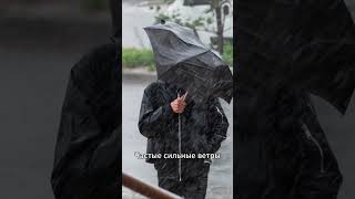 Какие ещё знаете? #санктпетербург #недвижимость