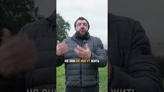 В ЭТОМ районе ПИТЕРА самая ДОРОГАЯ аренда квартир! | Про Питер Недвижимость