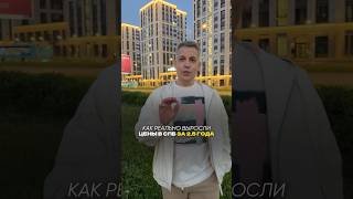 РОСТ ЦЕНЫ на новостройки в СПБ за 2 года