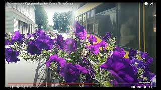 Зеленогорск  ЦЕНЫ на НЕДВИЖИМОСТЬ