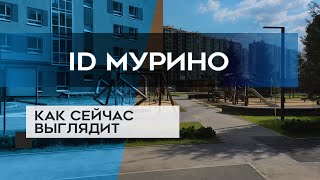 ID МУРИНО : как сейчас выглядит новостройка в СПб (05.09.20)