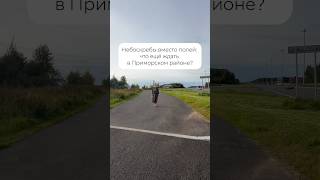 Небоскребы вместо полей: что будет за жк Чистое небо в Приморском районе СПб? #новостройкиспб #сэтл