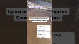 Средние цены на недвижимость в Санкт-Петербурге на 24.06.2024г #юристпонедвижимости #квартирыспб