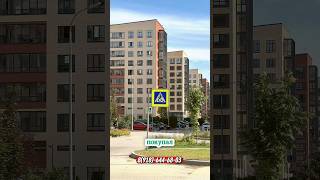 Тут лучше,чем в Сочи. И квартиры стоят дешевле. Санкт-Петербург недвижимость