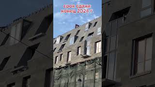 Meltzer Hall Saint-Petersburg 2026. Мельцер Холл Санкт-Петербург 2026 #shorts
