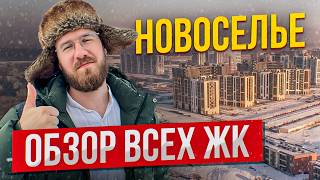 Новоселье СПб: честный обзор района — стоит ли покупать квартиру в 2026?
