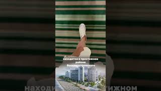 #риэлторспб #квартира #аренда #недвижимость #ипотека #домбизнескласса#санктпетербург