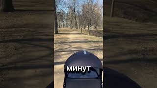СВОЯ КВАРТИРА В ЦЕНТРЕ САНКТ-ПЕТЕРБУРГА ЗА 55 ТЫС В МЕСЯЦ  #жквитебскийпарк #обзорновостроекспб #пик