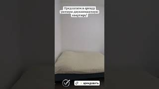 +7 999 038 97 99 #аренда #санктпетербург #недвижимость #найм #квартира