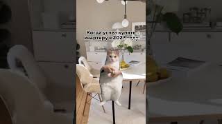 @roman_rieltorspb — недвижимость Санкт-Петербург, Дубай, Турция 
