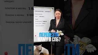 Сколько стоит перевезти маму в Санкт-Петербург