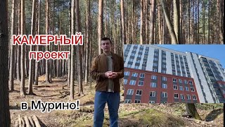 Новостройки Санкт-Петербурга. ЖК ID Murino III