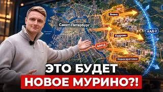 ОДНА ДОРОГА НА ТЫСЯЧИ КВАРТИР! Почему восток Петербурга рискует повторить судьбу Мурино?