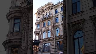 Санкт-Петербург #питер #санктпетербург #спб #петербург #август2026 #август #цветы    #лето #shorts