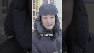 Где жить в Питере: главный минус человейников! #недвижимость #санктпетербург #квартира