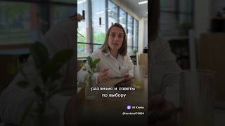 ЖИЗНЬ в новостройке или вторичке, где лучше? #киров #москва #недвижимость #санктпетербург