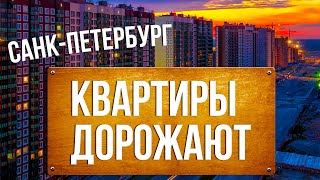 Всё о недвижимости СПб: рост цен, квартиры по переуступке, ипотека, акции застройщика. 12+