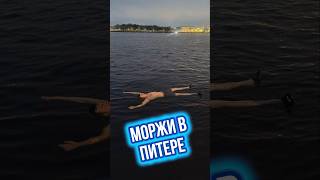 Где купаются Моржи в Санкт-Петербурге  - см.коммент. #моржи #невскиеморжи #риэлторСПб #недвижимость