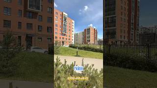 Счастливые люди живут в этом районе Санкт Петербурга