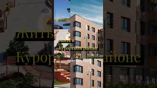 https://youtube.com/shorts/bb1cSgeYEdc?si=4707ZpO6uCgd_nqf #недвижимость #санктпетербург #квартира
