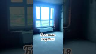 Видовая квартира, осталась одна #санктпетербург #reels #недвижимость