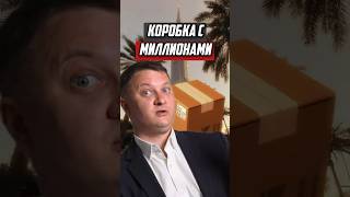 Что случилось с коробкой, полной денег? | НОВОСТРОЙКИ СПБ