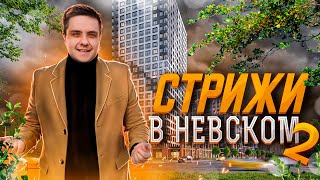 ЖК Стрижи в Невском 2 от Setl City. Невский район СПб. Недвижимость СПб.