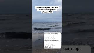 Цены на недвижимость в Питере на 24.09.2024 #юристпонедвижимости #квартира #квартирыспб #недвижимост