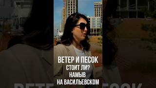 Насколько проблемен намыв на Васильевском? #недвижимость #квартира #покупка #санктпетербург #намыв