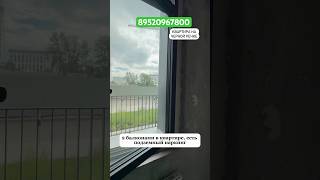 ЖК Черная речка в Санкт-Петербурге у метро #недвижимостьспб #новостройкиспб #новостройкипитера