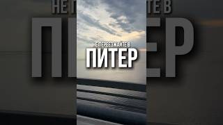 Что бы вы добавили? #недвижимость #санктпетербург #переезд #квартира #новостройки