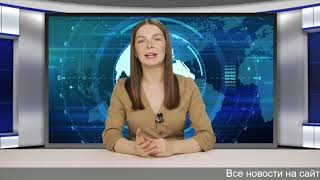 Каменный или деревянный: какой дом выгоднее строить после скачка цен?