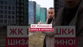 ШИЗА в Мурино? 