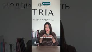 Квартира мечты в центре Петербурга за цену однушки за МКАДом? Это не шутка.