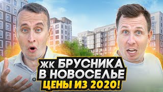 Обзор ЖК Брусника в Новоселье СПБ - НИЗКИЕ цены, семейные квартиры и террасы / Старт продаж 2025