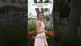 Jungle Prada: Секретный район Петербурга с премиум ценами