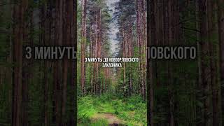Поможем подобрать лучшие квартиры Санкт-Петербурге