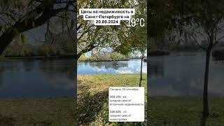 Цены на недвижимость в Питере на 20.09.2024 #юристпонедвижимости #квартира #квартирыспб