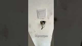 Посмори это видео прежде чем покупать Бизнес Класс в СПБ !  #новостройкиспб #квартира #недвижимость