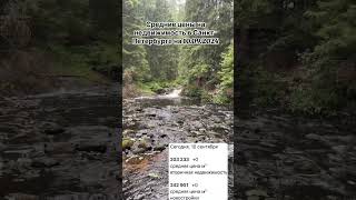 Средние цены на недвижимость в Питере на 10.09.2024 #юристпонедвижимости #квартира #квартирыспб