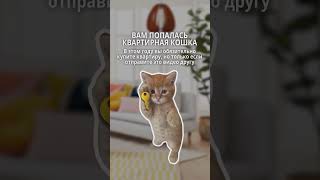 Вы знаете, что делать 
