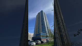 Санкт Петербург  1к  квартира от 10 млн  800 тыс  руб  метро  Проспект Просвещения