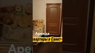 #аренда  2-к квартиры #санктпетербург  +79110837045 #снятьквартиру #сергейриэлтор #reels #shorts