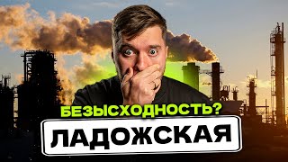 ОБЗОР ЛАДОЖСКАЯ СПБ! Сколько стоит ЖИТЬ и СНИМАТЬ в Красногвардейском районе Питера!