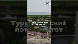 Москва под запретом, а Питер — в лидерах? #недвижимость  #инвестиции #пассивныйдоход  #ипотека